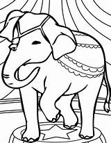 Elephant Coloring Pages Circus Elephants Drawings sketch template