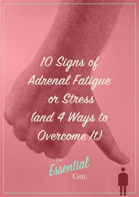 Adrenal Fatigue Signs Of Adrenal Fatigue Chronic