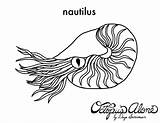 Nautilus Coloring Drawing Shell Tattoo Line Life Colouring Pages Pupae Shells Designlooter Painting Printable Drawings Getdrawings Jellyfish Crabs Peacock Feather sketch template