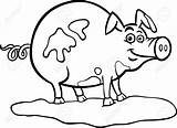 Granja Cerdo Farm Fumetto Cerdos Porco Fazenda Allevamento Parati Maiali Maiale Fango Fattoria Pixers Fotomural Illustrazione Ilustración Designlooter Divertente Animale sketch template