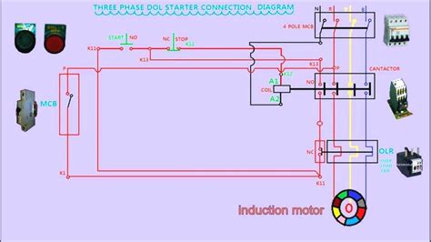 motor starter wiring diagram   wiring diagram sample
