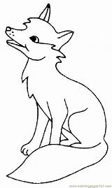 Fox Coloring Color Pages Zorro Luking Printable Animals sketch template