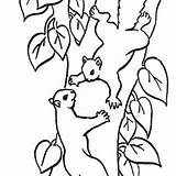 Tree Climbing Coloring Squirrel Drawing Drawings 300px 57kb Clipartmag Line Getdrawings sketch template
