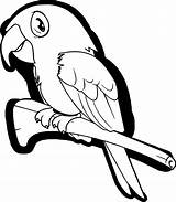 Parrot Wecoloringpage sketch template