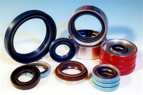 rotary shaft seals  extreme operating conditions