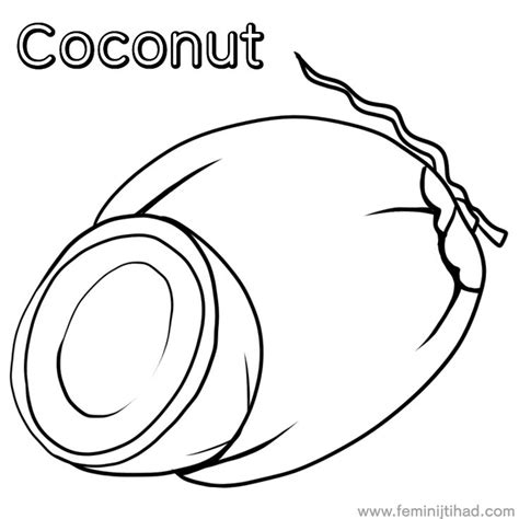 coconut coloring pages printable  coloringfoldercom animal