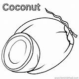 Coconut Coloring Pages Printable Color sketch template