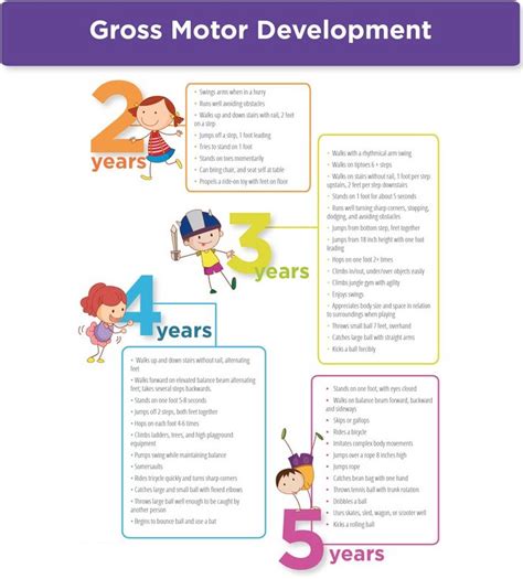 fine gross motor skills development checklist age level    years