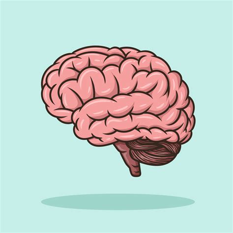 cerebro educacion objeto concepto dibujos animados icono vector