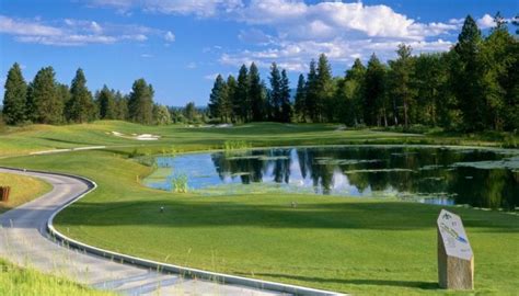 golf   water  trees   background   sunny day