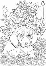 Coloring Dog Pages Dogs Cats Adult Book Realistic Puppy Sheets Cat Animal Printable Lovable Adults Para Color Printables Terapia Publications sketch template