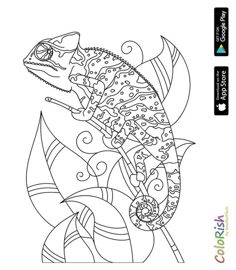 coloring reptile images  pinterest doodle doodles
