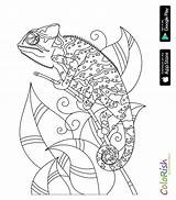 Coloring Reptile Pages Reptiles Mandalas Colour Print Stamps Animals Printable Getcolorings Color sketch template