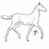Teke Akhal Foal sketch template