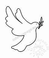 Dove Olive Branch Holding Flying Peace sketch template