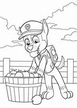 Chase Patrol Paw Coloring Pages Print Kids Color sketch template