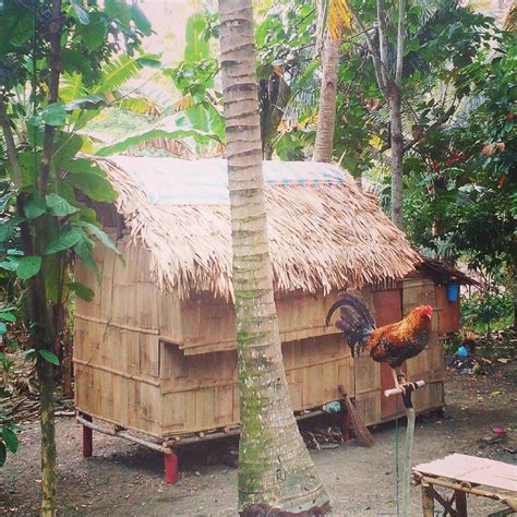 atthesexylady  instagram tinyhouse philippines  travelling lifestyle simple