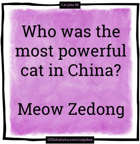 feline fun humorimage meow zedong