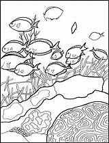 Coloring Reef Coral Pages Ocean Barrier Great Printable Book Fish Life Clipart Fun Colouring Pacific Atoll Environment Games Print Sea sketch template