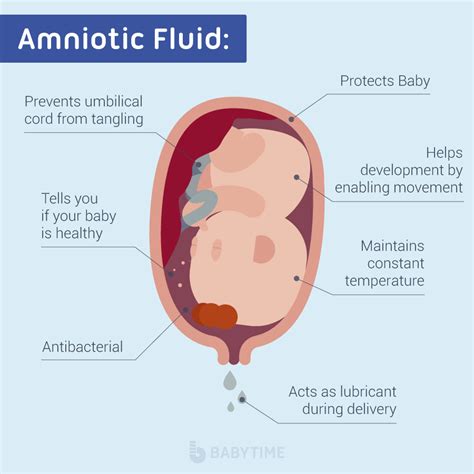 signs  leaking amniotic fluid  discharge intelseka