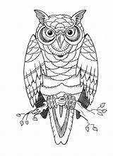 Coloring Pages Owl Tattoo Stencils Stencil Adult Printable Colouring Drawings Well Soon Majuu Twig Resting Cute Old Owls Tattoos sketch template