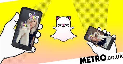 Snapchat Just Introduced New Selfie Filters For Your Cat Metro News