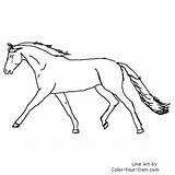 Horse Coloring Warmblood Pages Extended Color Trot Index Own sketch template