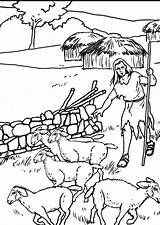Coloring Shepherd Large sketch template