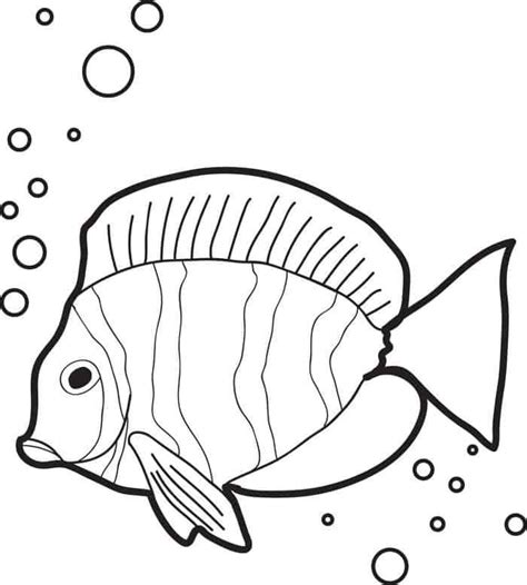 fish printable coloring pages   animal coloring pages dinosaur