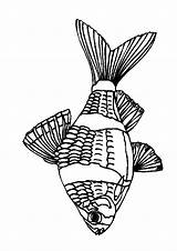 Vissen Kleurplaten Dieren Fisch Poisson Animaatjes Kleurplatenwereld Malvorlage Gify Animierte sketch template