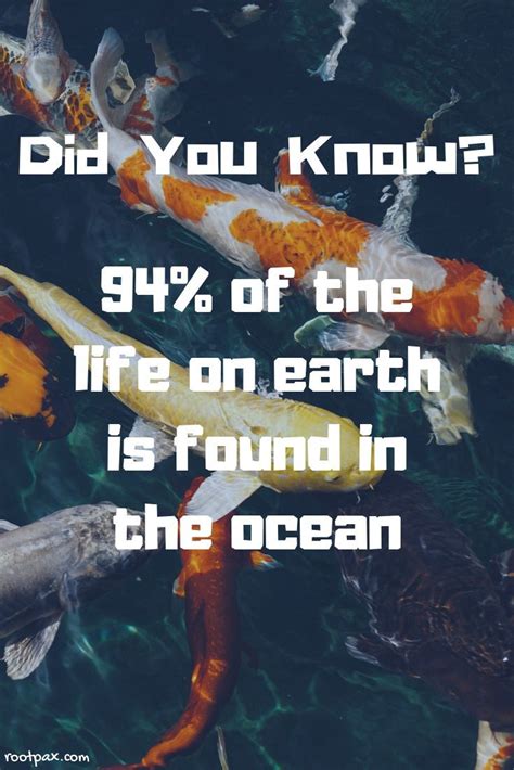 ocean facts marine life save  oceans fun cacts fun facts ocean