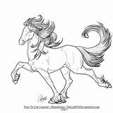 Lineart Darya87 Clydesdale Patterned Stallion Icelandic sketch template