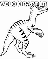 Coloring Velociraptor Dinosaur Topcoloringpages Dinosaurs sketch template