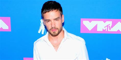 liam payne reveals why he is always singing about sex