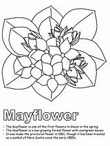 Coloring Nova Scotia Mayflower Pages Massachusetts Flag Flower State Outline Flowers May Canadian Ws Kidzone Canada Usa Printable Line Map sketch template