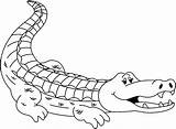 Alligator Mewarnai Buaya Outline Binatang Bonikids Cliparting Alligators Koleksi Populer Krokodil Wikiclipart Hewan sketch template
