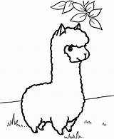 Alpaca Coloring Pages Kids sketch template