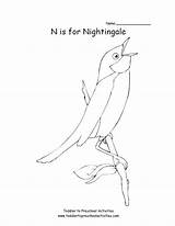 Nightingale sketch template
