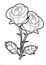 Flowers Coloring Flower Drawing Simple Rose Pages Bouquet Printable Colouring Sheets sketch template