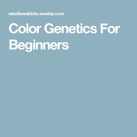 color genetics  beginners  images genetics beginners color