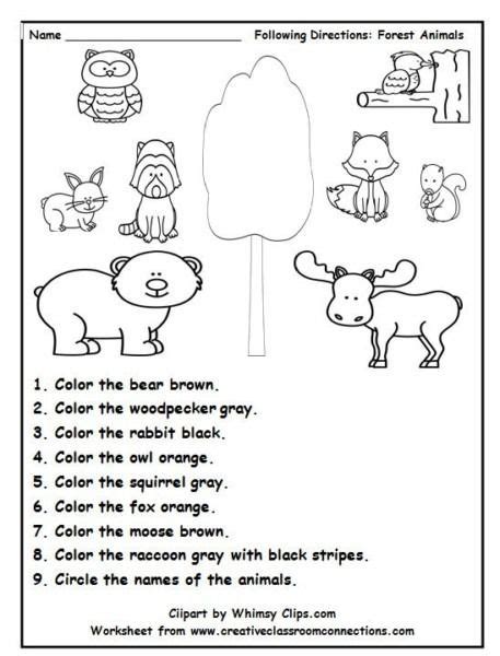 forest animal worksheets  kindergarten animal worksheets