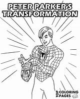 Peter Parker Coloring Pages Spider Man Spiderman Printable Print Color Transforms Into Transformation Getcolorings Getdrawings Source sketch template