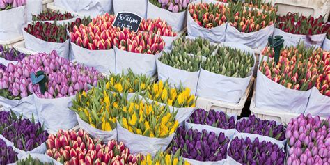 ready  spring    stunning flower markets   world huffpost