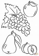 Albanysinsanity Fruits sketch template