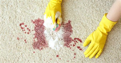 remove stains  blood  carpet realty times