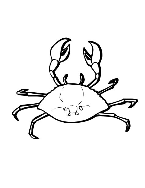 printable crab coloring pages  kids animal place