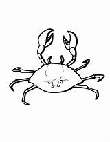 Crab Coloring Pages Marine Animal Animals Printable Kids Ghost Horseshoe Sheet Color Hermit Designlooter Print Getcolorings Animalplace Cartoon 2550 17kb sketch template