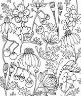 Colorfy Doodle Doodles Illustrations Botanicals Customize Folk Pesquisa Zentangle Congdon sketch template