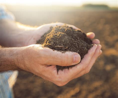 soil health conservation research policy tools  alberta news