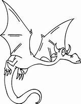 Drache Drachen Fliegender Ausmalbild Coloring Ausdrucken Designation Mythological sketch template